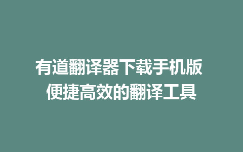 有道翻译器下载手机版 便捷高效的翻译工具