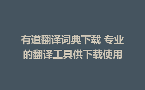 有道翻译词典下载 专业的翻译工具供下载使用