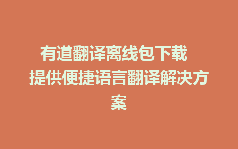 有道翻译离线包下载  提供便捷语言翻译解决方案