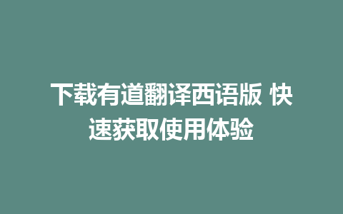 下载有道翻译西语版 快速获取使用体验