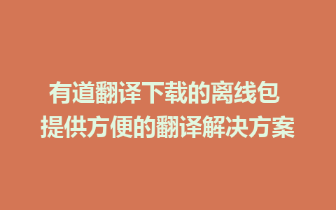 有道翻译下载的离线包 提供方便的翻译解决方案