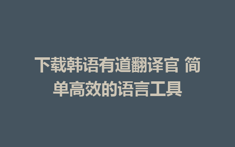 下载韩语有道翻译官 简单高效的语言工具