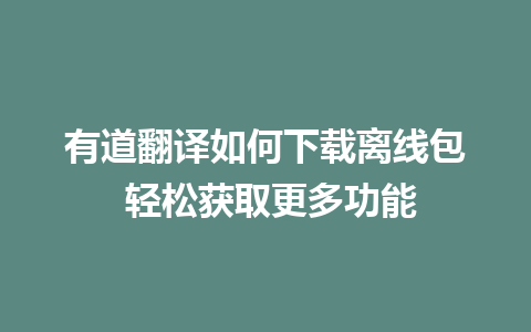 有道翻译如何下载离线包 轻松获取更多功能