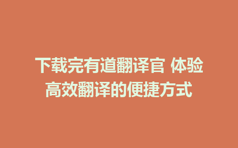 下载完有道翻译官 体验高效翻译的便捷方式