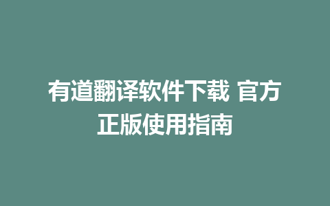 有道翻译软件下载 官方正版使用指南