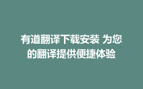 有道翻译下载安装 为您的翻译提供便捷体验