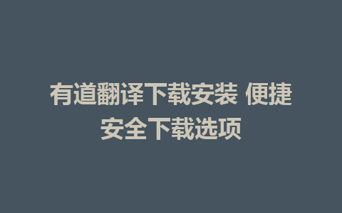 有道翻译下载安装 便捷安全下载选项