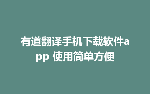 有道翻译手机下载软件app 使用简单方便