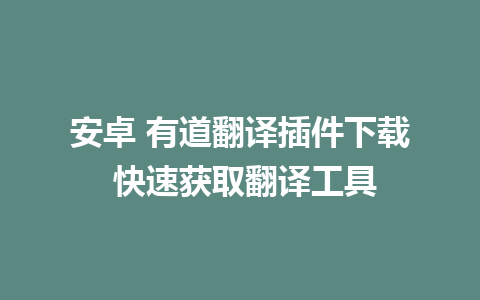 安卓 有道翻译插件下载 快速获取翻译工具