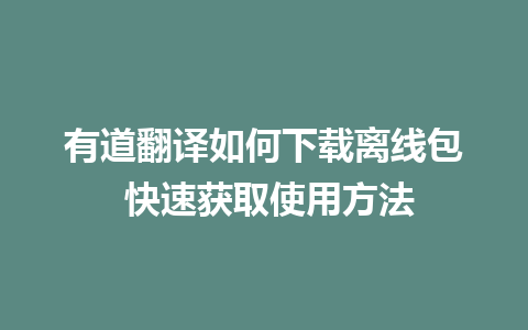 有道翻译如何下载离线包 快速获取使用方法