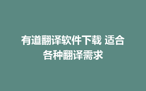 有道翻译软件下载 适合各种翻译需求