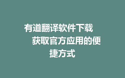 有道翻译软件下载      获取官方应用的便捷方式