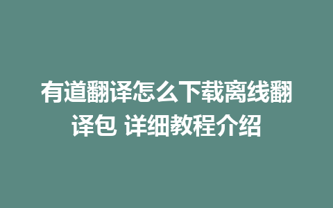 有道翻译怎么下载离线翻译包 详细教程介绍