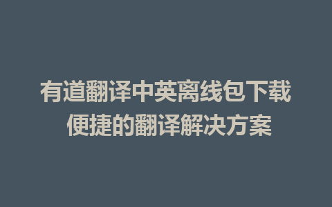 有道翻译中英离线包下载 便捷的翻译解决方案