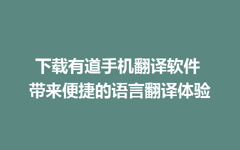 下载有道手机翻译软件 带来便捷的语言翻译体验