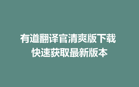 有道翻译官清爽版下载 快速获取最新版本