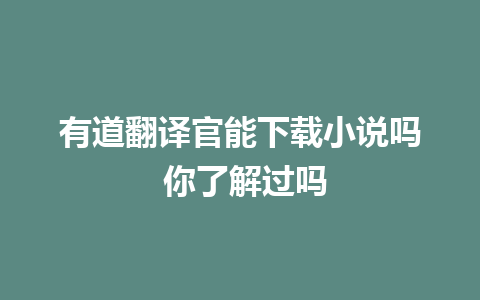 有道翻译官能下载小说吗 你了解过吗