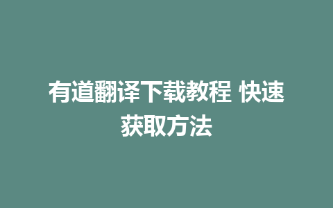 有道翻译下载教程 快速获取方法