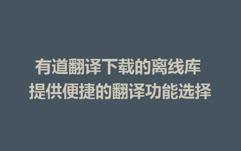 有道翻译下载的离线库 提供便捷的翻译功能选择