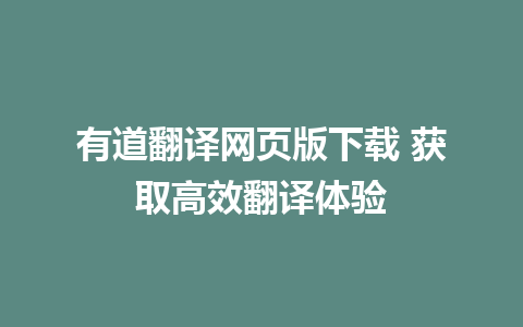 有道翻译网页版下载 获取高效翻译体验