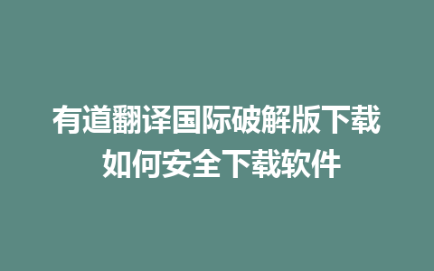 有道翻译国际破解版下载 如何安全下载软件