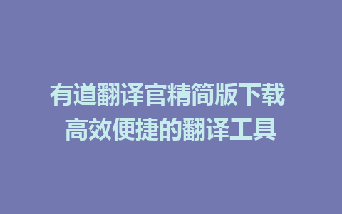 有道翻译官精简版下载 高效便捷的翻译工具