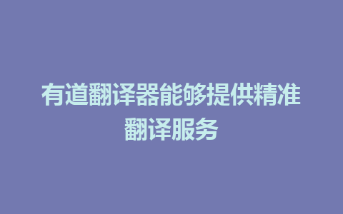 有道翻译器能够提供精准翻译服务 