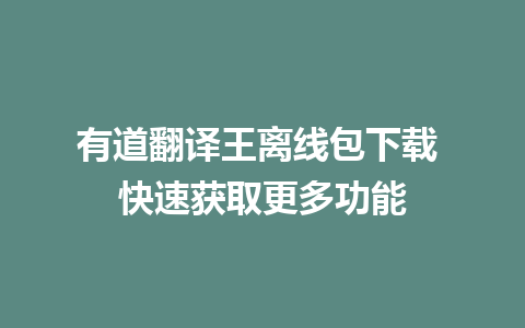 有道翻译王离线包下载 快速获取更多功能