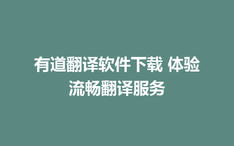 有道翻译软件下载 体验流畅翻译服务