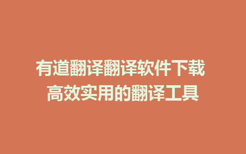 有道翻译翻译软件下载 高效实用的翻译工具