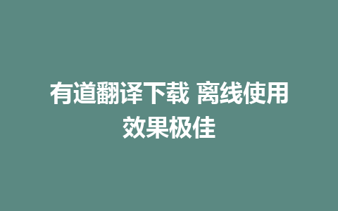 有道翻译下载 离线使用效果极佳